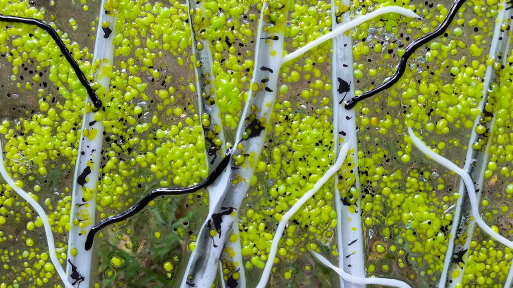 Aspen Fused Glass Panel - Clear Transparent/Spring/Stone Base