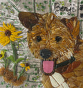 Aug. 15,  1-4pm Pet Mosaic